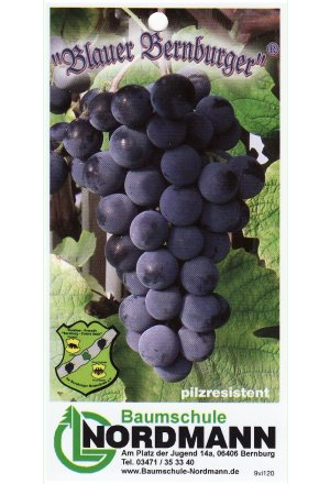 Blauer Bernburger Etikett